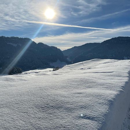 Hotel Garni Oberdorfer Stuben Obermaiselstein Zewnętrze zdjęcie