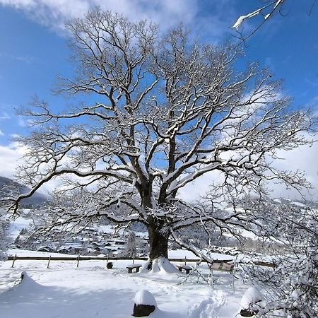 Hotel Garni Oberdorfer Stuben Obermaiselstein Zewnętrze zdjęcie