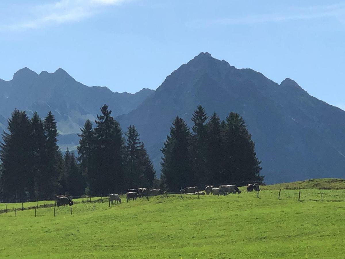 Hotel Garni Oberdorfer Stuben Obermaiselstein Zewnętrze zdjęcie